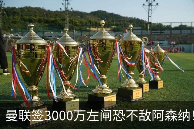 曼联签3000万左闸恐不敌阿森纳！还有7人候选，最便宜只需1300万